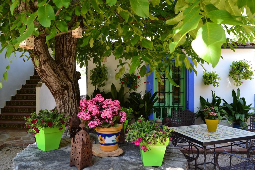 Casa rural El Rincon De Carmen